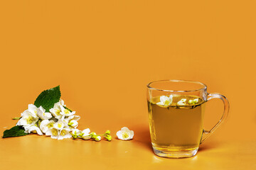 Jasmine tea with fresh flowers isolated on orange background