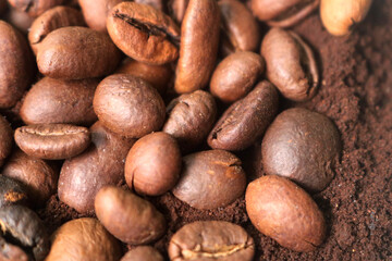 coffee beans. powder. cream. on a white background. the aroma of Sumatran coffee. arabica coffee. civet coffee. expensive and luxurious. drink lover