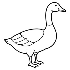 Goose vector art illustration white background