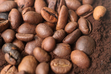 coffee beans. powder. cream. on a white background. the aroma of Sumatran coffee. arabica coffee. civet coffee. expensive and luxurious. drink lover