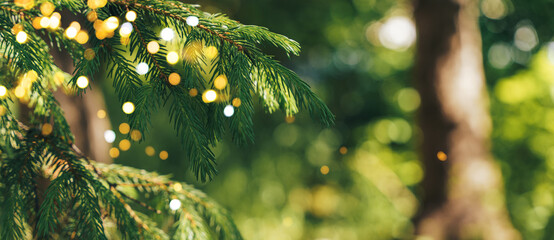 Fir branch decorated with a garland is depicted. The garland, consisting of small bright lights, is...