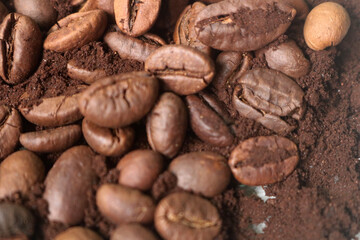 coffee beans. powder. cream. on a white background. the aroma of Sumatran coffee. arabica coffee. civet coffee. expensive and luxurious. drink lover