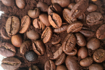 coffee beans. powder. cream. on a white background. the aroma of Sumatran coffee. arabica coffee. civet coffee. expensive and luxurious. drink lover