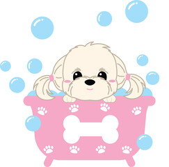 Fototapeta premium Shizu dog in bath tub