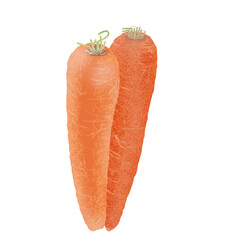 carrots isolated on white