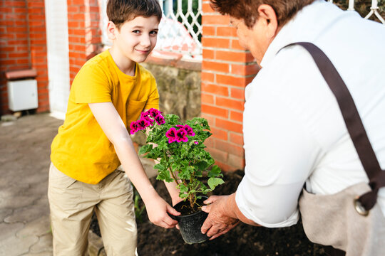 Grandmother plants seedlings with her grandson