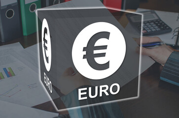 Concept of euro