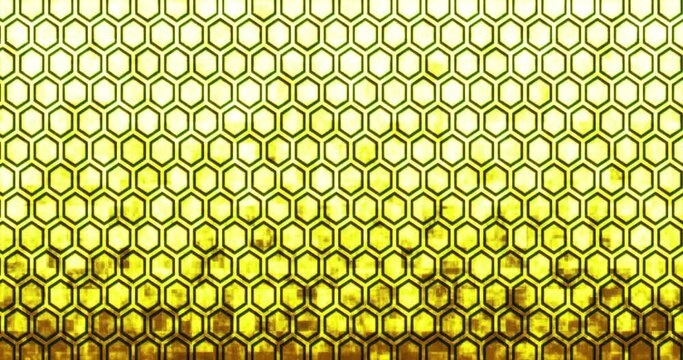 Loop material using traditional Japanese patterns, background, tortoise shell pattern,beehive pattern, kikko