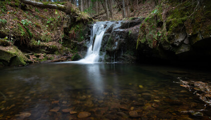 Fototapeta premium waterfall in the forest