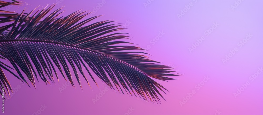 Poster a palm tree with a purple hue captured at a lower angle with a copy space image included.