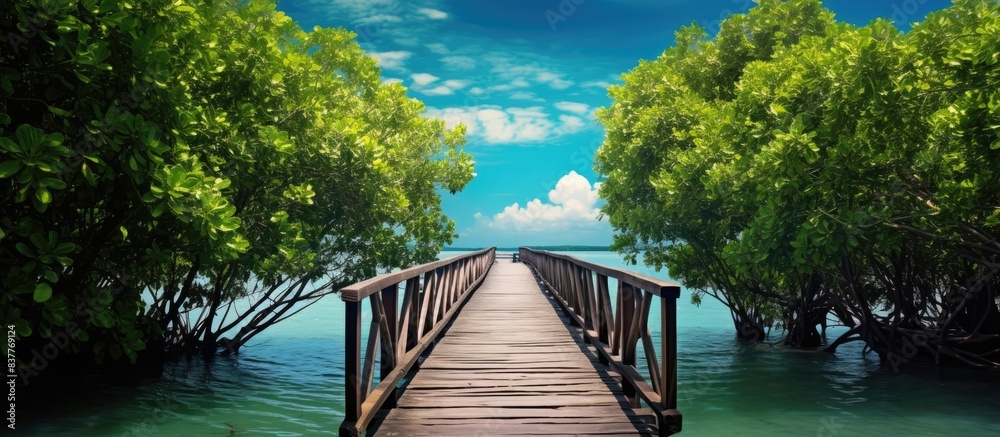 Poster a serene mangrove forest surrounds a wooden bridge in the background, creating an ideal copy space i