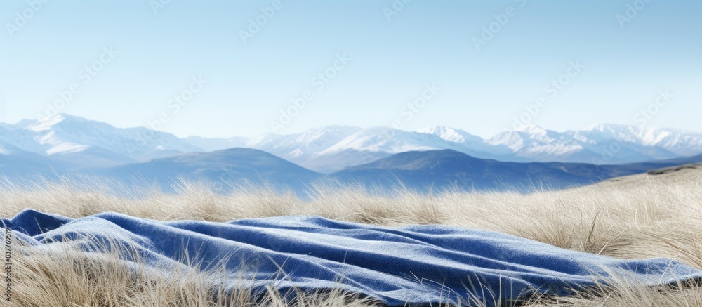 Aufkleber grass blankets the terrain with a scenic backdrop of snowy mountains, creating a serene copy space i