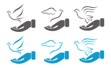 Dove illustration on white background