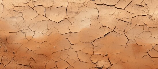The parched earth showing cracks with space for text or graphics in the image.