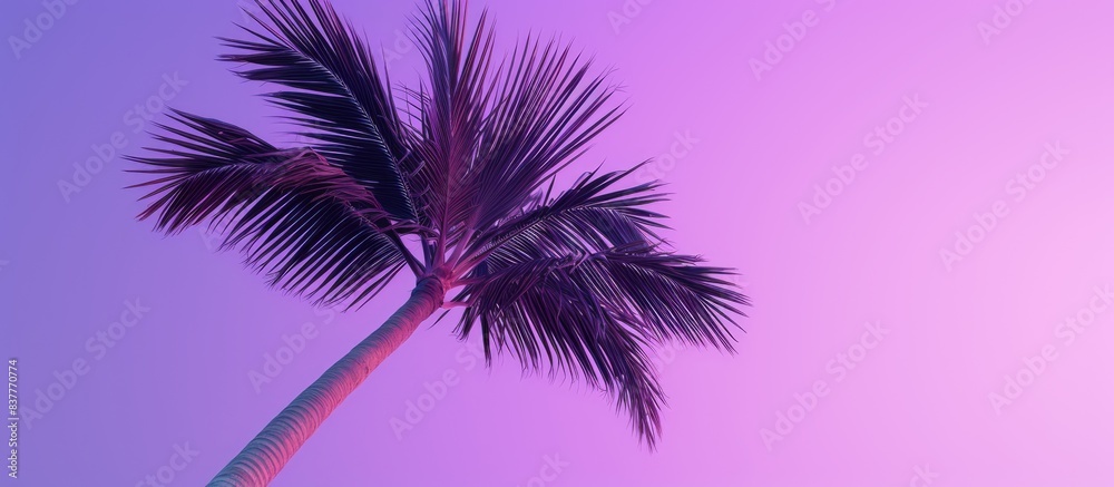 Poster A palm tree with a purple hue captured at a lower angle with a copy space image included.