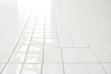 White Glossy Tiles