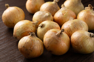 日本の新玉ねぎ