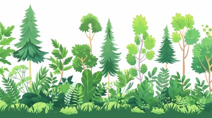 A green tree border. Forest foliage and coniferous plants. Isolated cartoon illustration on white