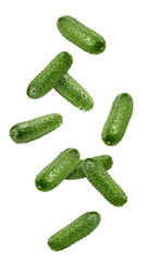 Falling cucumber isolated on white background, full depth of field