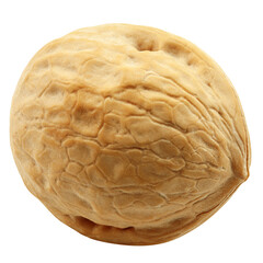 Walnut, nut, isolated on white background, full depth of field