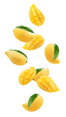 Fototapeta premium Falling yellow mango isolated on white background, full depth of field