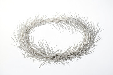 Fototapeta premium White Branches Forming a Circle