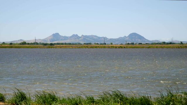 Sutter Buttes and Flooded Agricultural Rice Field