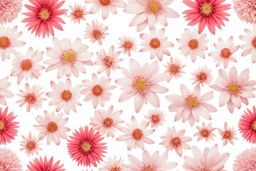 Pink and Coral Flower Pattern