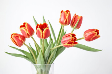 Red and Yellow Tulips in a Vase