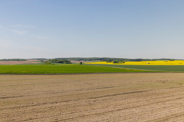 Obraz premium a plowed field and a field with green grass and yellow flowering rapeseed