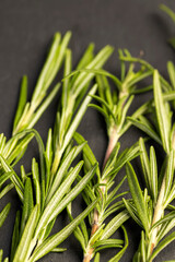 green fresh rosemary is a spice in cooking
