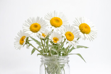 Daisies in a Glass Jar