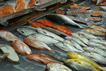 fresh fish at the market