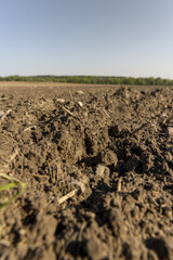 preparing the soil for sowing in spring