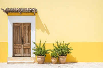 Fototapeta premium Wooden Door and Potted Plants Against a Yellow Wall