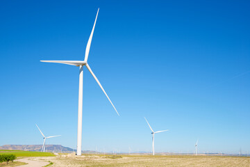 Wind turbine generators for green electricity production