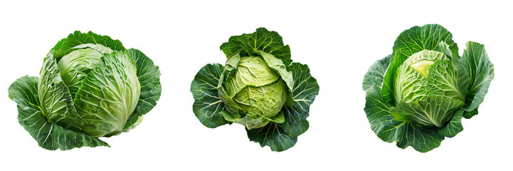Set of Fresh green cabbage on transparent background