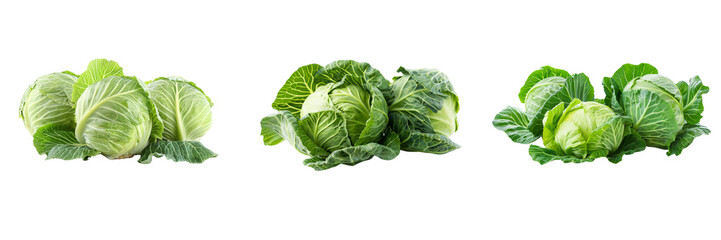 Obraz premium Set of Fresh green cabbage on transparent background