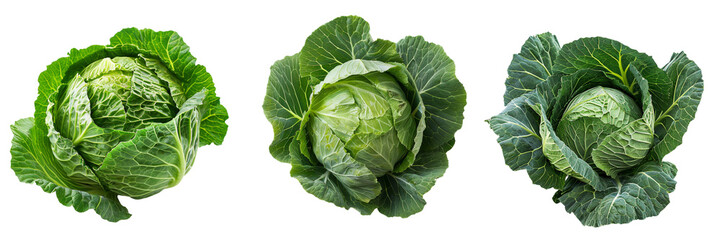 Fototapeta premium Set of Fresh green cabbage on transparent background