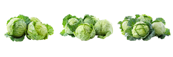 Set of Fresh green cabbage on transparent background