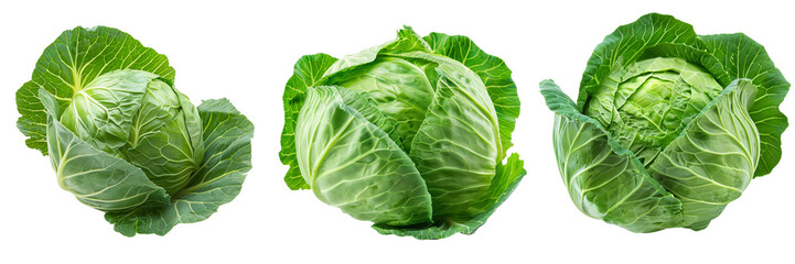 Obraz premium Set of Fresh green cabbage on transparent background