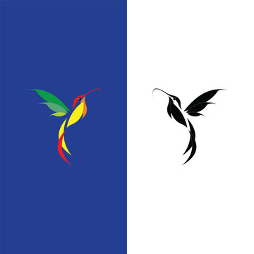Colibry Bird Logo Icon Design Vector Template