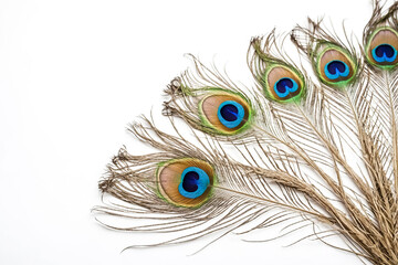 Naklejka premium Peacock Feathers on White Background
