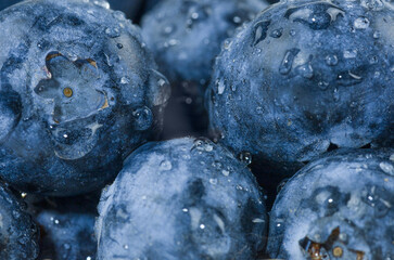 Macro shot of blueberries with water droplets. Berry background