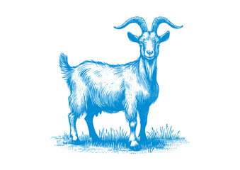 goat vector, transparent background.