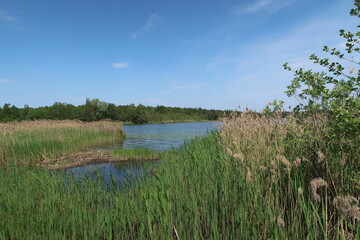 Walk around a lake in Sweden
