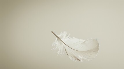 Obraz premium Delicate Feather Floating in Air