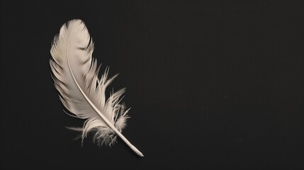 Obraz premium Delicate Feather Floating in Air