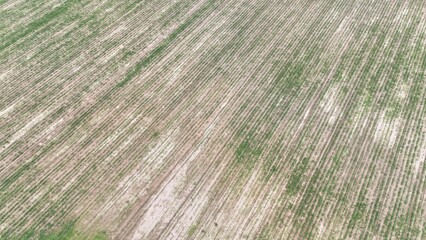 Agricultural Fileds aerial view Thailand countryside 
