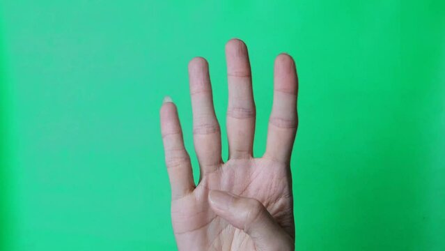 man hands showing counting with fingers on green screen background. Fingers slowly shows fist first, then one, two, three, four, five fingers and thumbs up